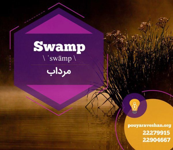 آکادمی پویاروشان - دکتر عطایی - Swamp (noun)