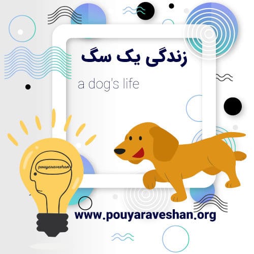 A Dog’s Life – داستان کوتاه